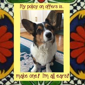 Not pet free, but dog never wears the merc…